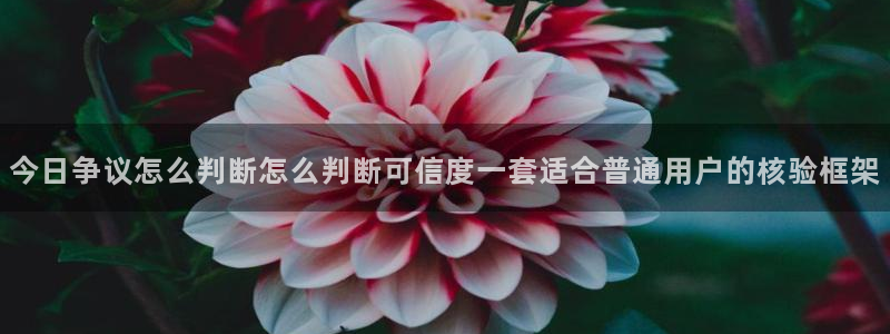 吃瓜热点事件：今日争议怎么判断怎么判断可信度一套适合普通用户的核验框架
