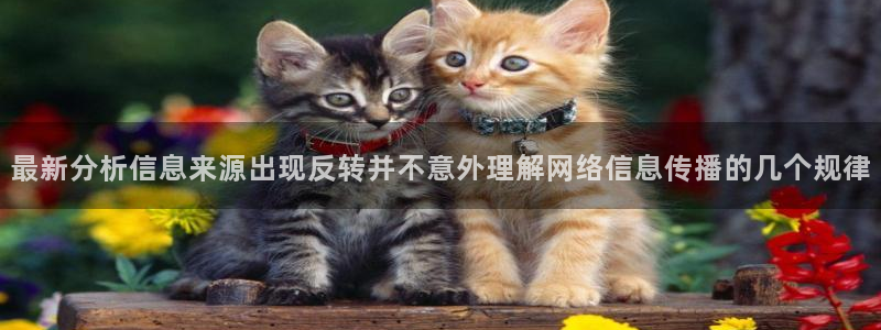 91吃瓜网：最新分析信息来源出现反转并不意外理解网络信息传播的几个规律