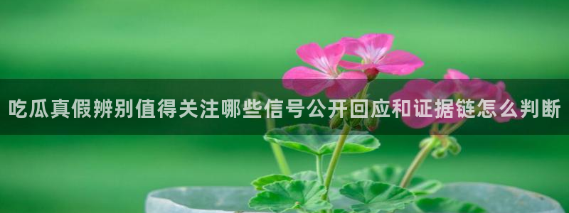 91吃瓜最新爆料:吃瓜真假辨别值得关注哪些信号公开回应和证据链怎么判断