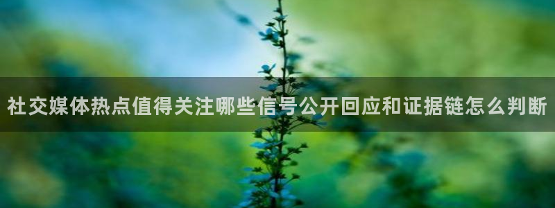 91吃瓜内容大全:社交媒体热点值得关注哪些信号公开回应和证据链怎么判断
