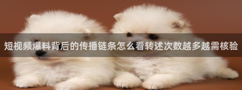 91吃瓜热门新闻：短视频爆料背后的传播链条怎么看转述次数越多越需核验