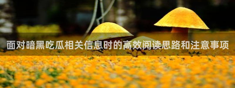 91吃瓜热点大全:面对暗黑吃瓜相关信息时的高效阅读思路和注意事项