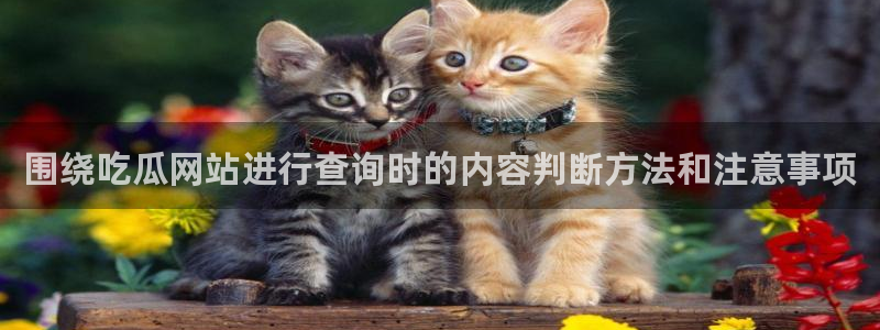 91吃瓜热搜榜:围绕吃瓜网站进行查询时的内容判断方法和注意事项