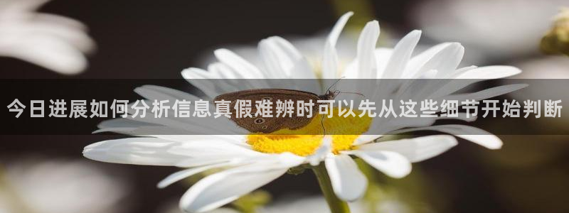 91吃瓜网络动态:今日进展如何分析信息真假难辨时可以先从这些细节开始判断