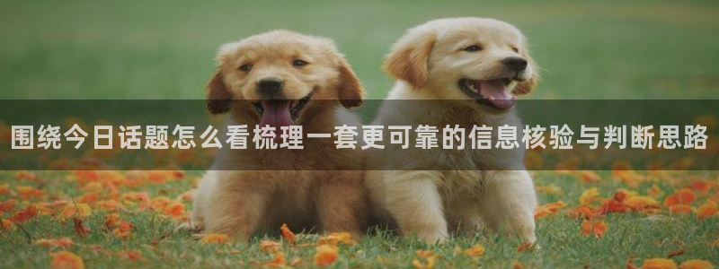 91吃瓜热门事件大全:围绕今日话题怎么看梳理一套更可靠的信息核验与判断思路