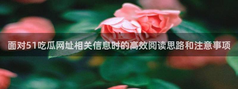 91吃瓜热点网站：面对51吃瓜网址相关信息时的高效阅读思路和注意事项