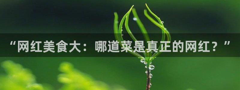 91吃瓜事件资讯：“网红美食大：哪道菜是真正的网红？”