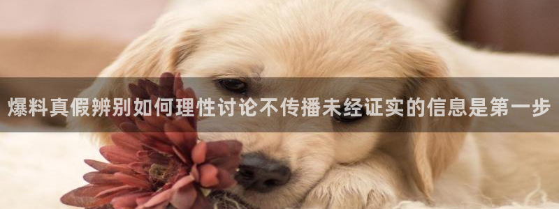 91吃瓜热点信息：爆料真假辨别如何理性讨论不传播未经证实的信息是第一步