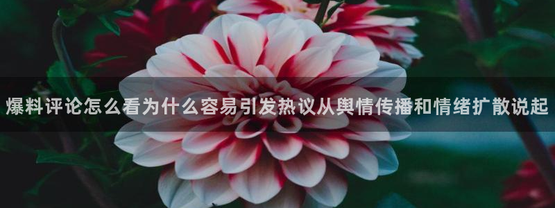 91吃瓜话题大全：爆料评论怎么看为什么容易引发热议从舆情传播和情绪扩散说起